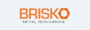 brisko-logo